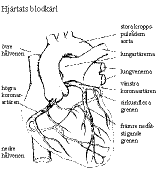 Definitioner