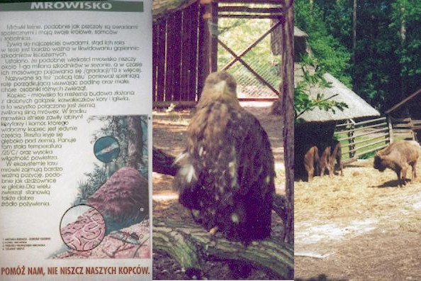 Myrskylt n&auml;ra Czarne + zoodjur vid Miedzyzdroje