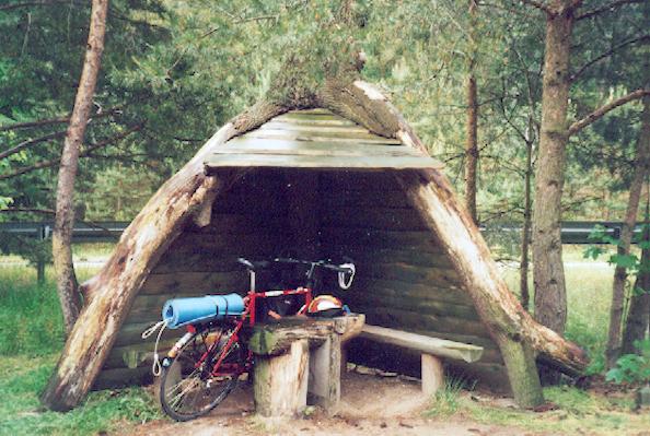 Ett regnskydd av ett uppochnedv&auml;nt tr&auml;d. &Ouml;ster om Miedzyzdroje