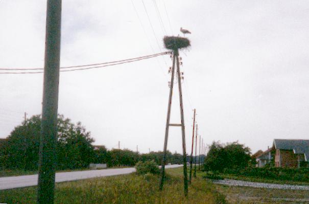 Storkbo