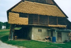 Torklada, majs, Domzale