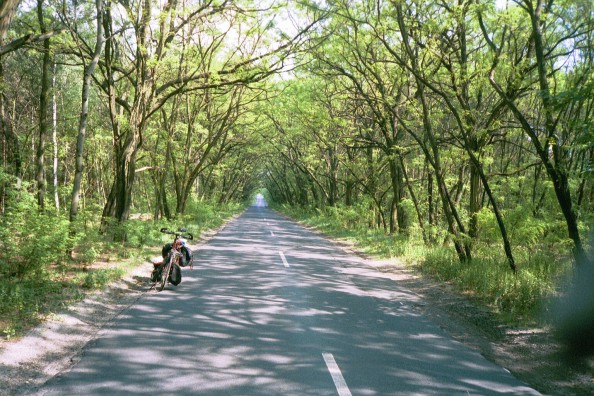 Svalkande gr&ouml;n tunnel