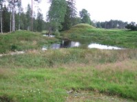 Vikenborna tillbringade sina sista &aring;r p&aring; Kvarn&auml;ngen i Beth. Det torde ha legat n&auml;ra dammen d&auml;r. /Viken/