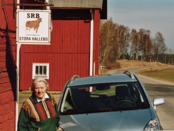 Stora Hallebo Nolg&aring;rden som enligt lag h&ouml;ll krigsmakten med soldat. G&aring;rden har &auml;ven givit sl&auml;ktnamnet Hall. /Hall/