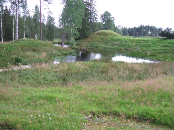 Vikenborna tillbringade sina sista &aring;r p&aring; Kvarn&auml;ngen i Beth. Det torde ha legat n&auml;ra dammen d&auml;r. /Viken/
