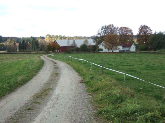 B&ouml;ne norrg&aring;rd som kanske ligger p&aring; platsen f&ouml;r B&ouml;ne Nolg&aring;rd. FEL. Den l&aring;g n&auml;ra kyrkan. /P.Tranberg/Maria B./
