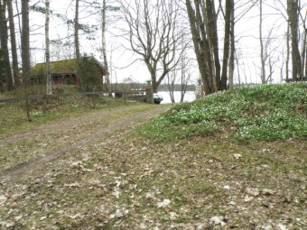 Bild eng004