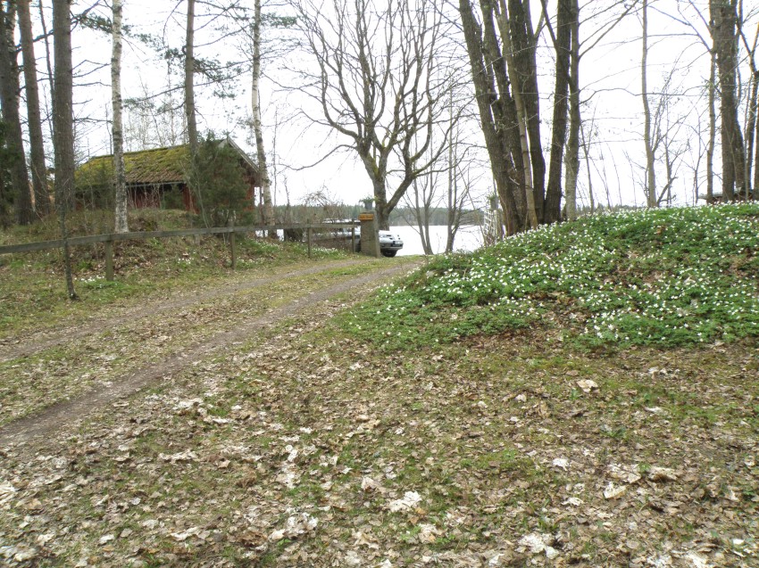 Bild eng004