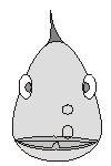 Hej fisk 7kb