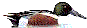 Skedand