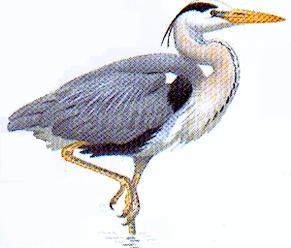 St&aring;ende