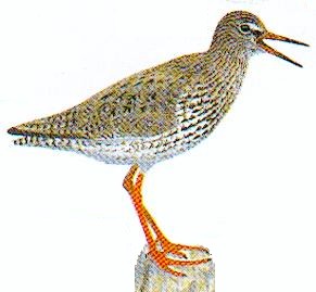 St&aring;ende