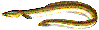 Ål